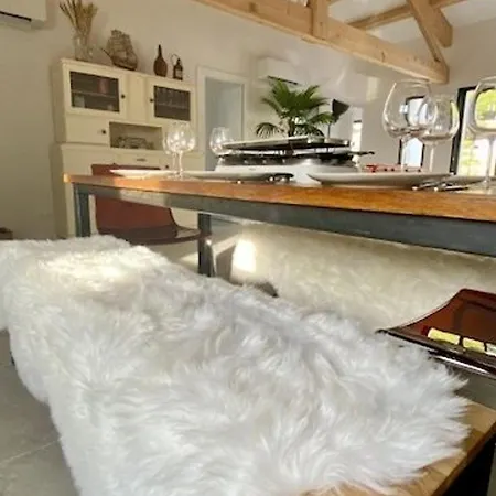 Maison Contemporaine Avec Piscine Privee A - Fr-1-246a-243